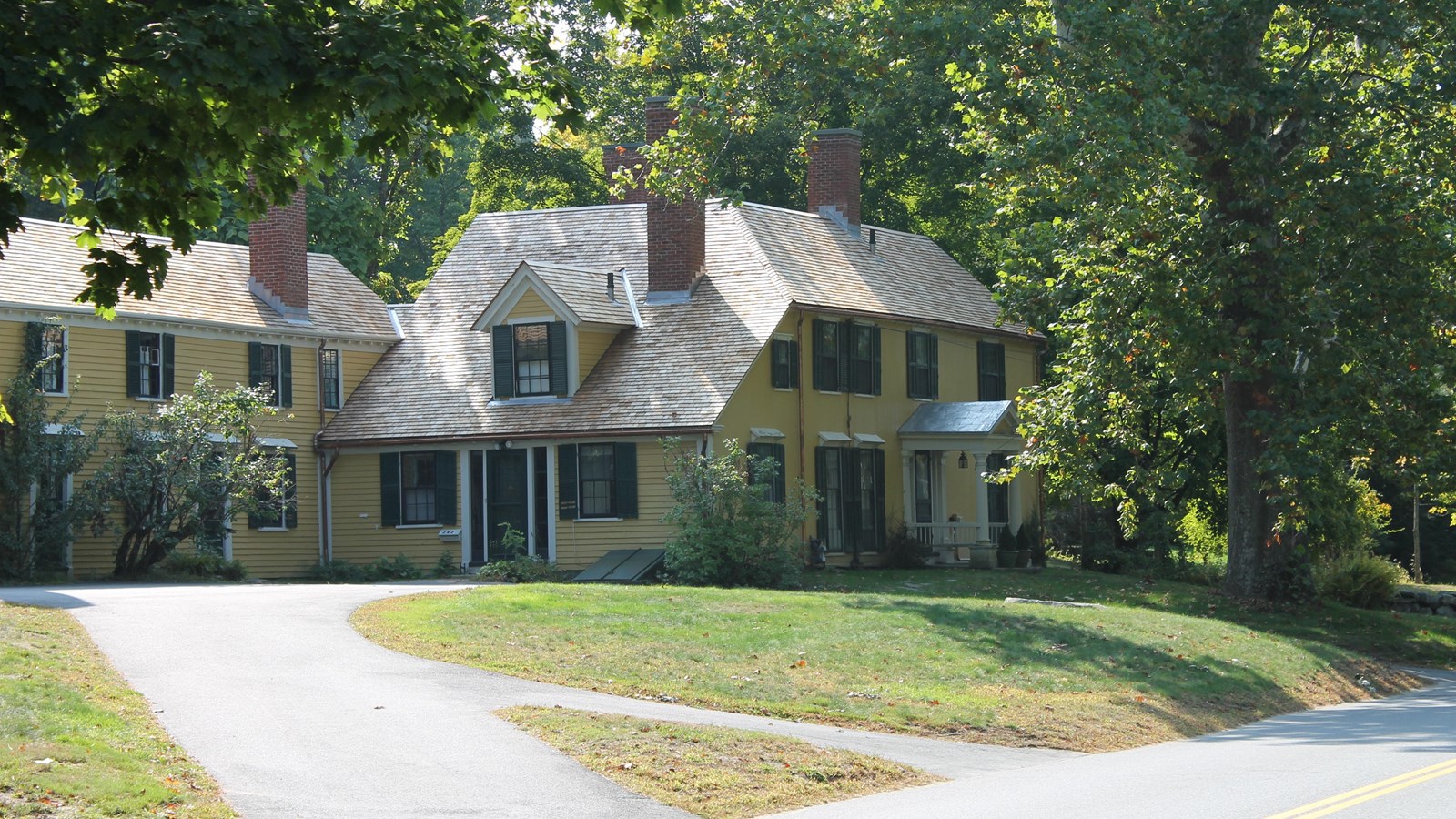 Two story yellow house beside a modern road with a large tree overshadowing the front yard.