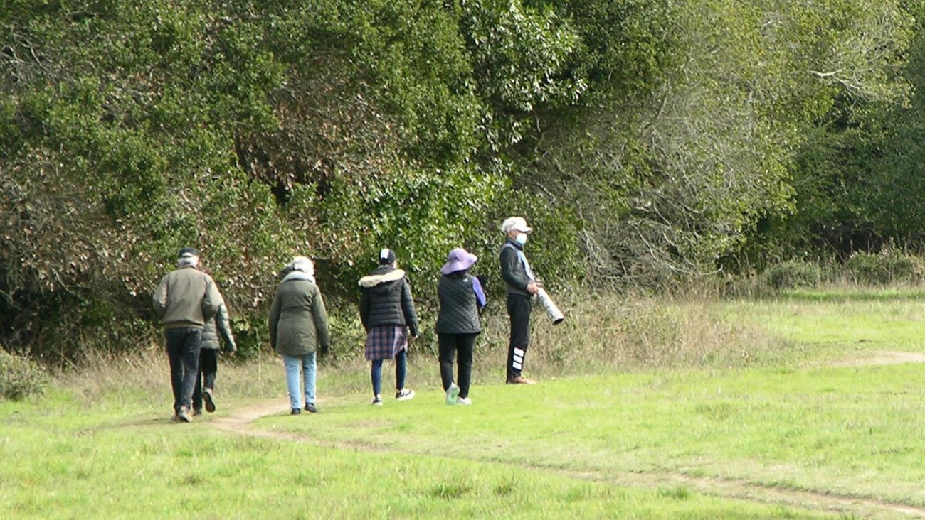 Six day hikers walking along a narrow trail along the edge of a meadow.