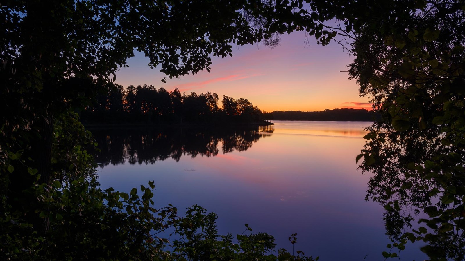 A creek with purples, yellows, and oranges dancing on the surface as the sun rises behind the shore.