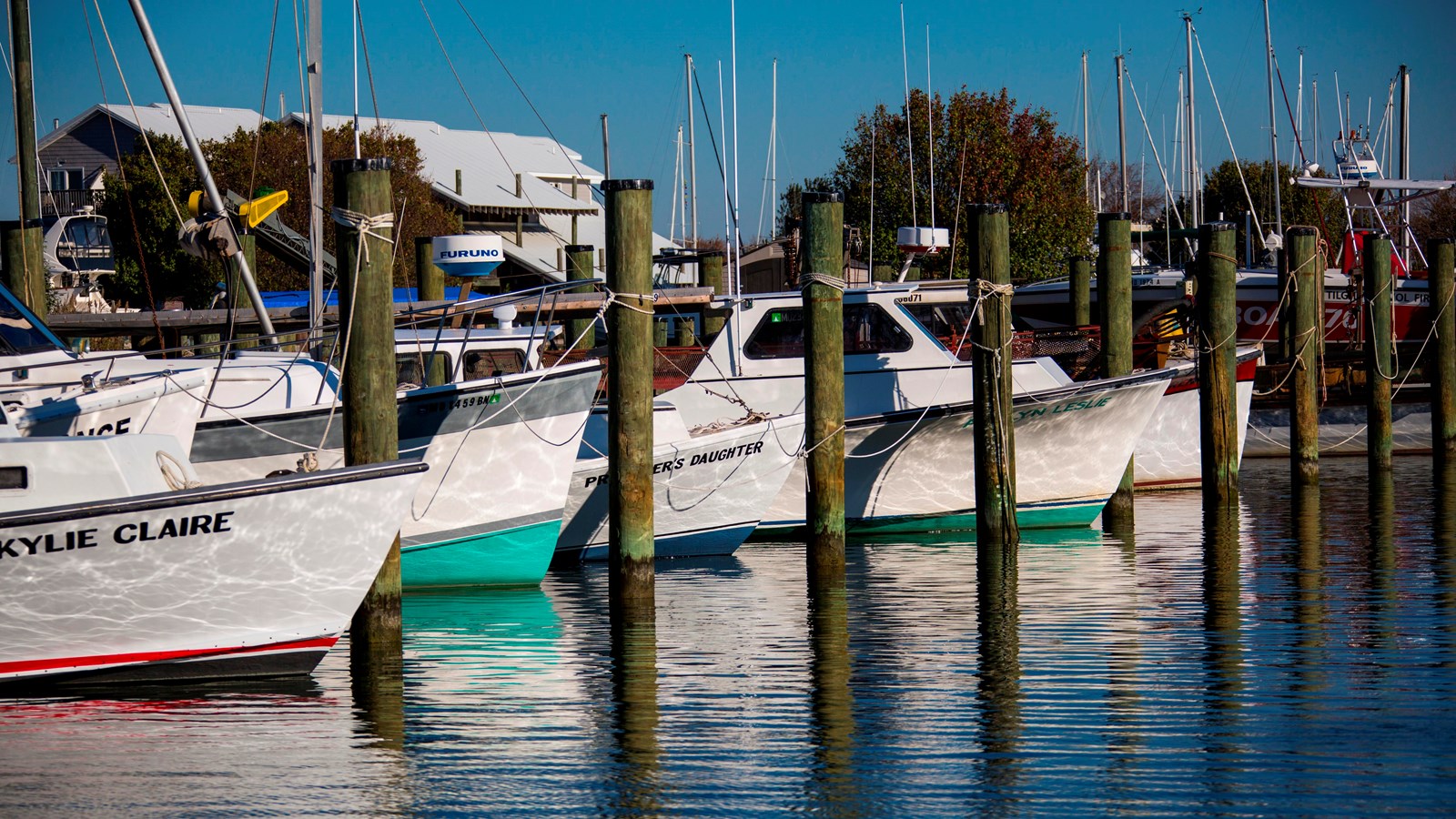 Boats docked at a marina with calm water and a clear blue sky.
