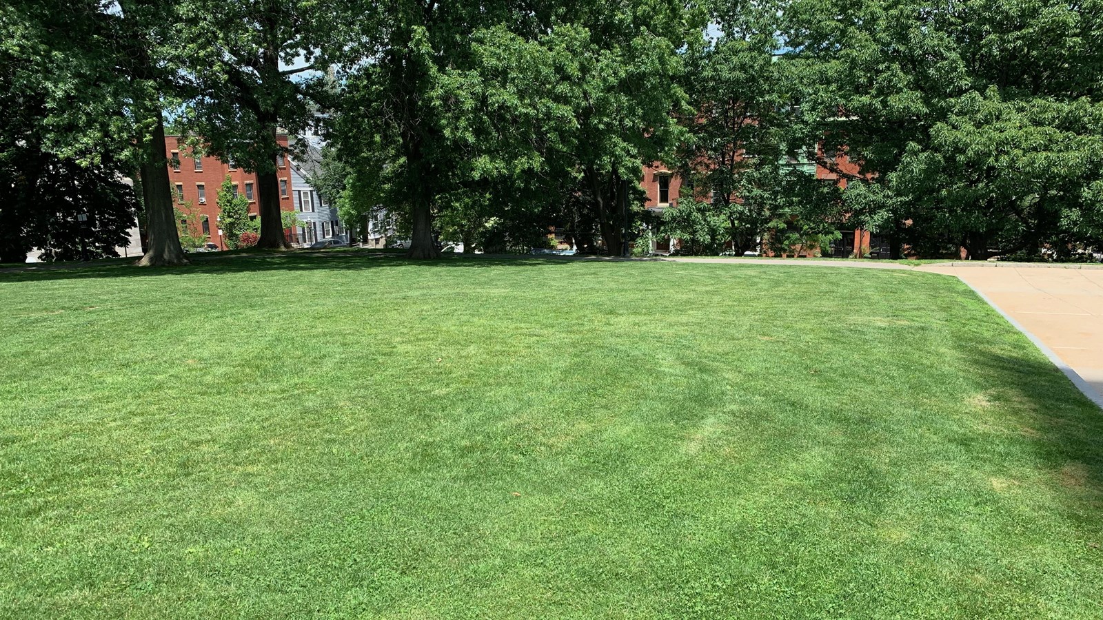 Green lawn slopes down with trees in the background hiding the buildings on the street behind them. 