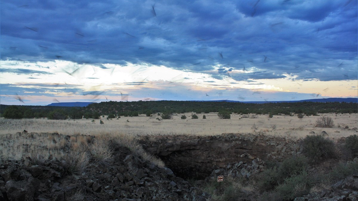 Dark, cloudy skies over a cave set in dark brown rocks. Blurry bats fly out of cave