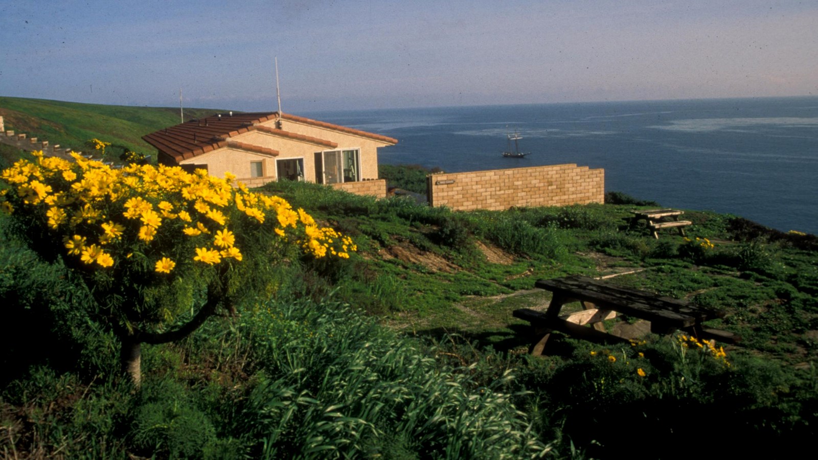 Building perched on sea cliff overlooking ocean surrounded by yellow flowered plant.