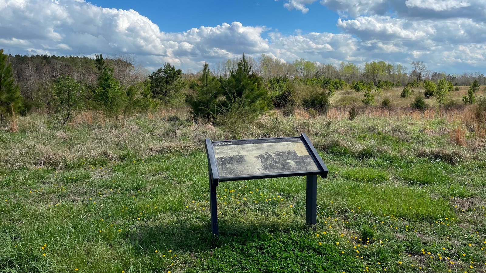 A wayside on the of a field with short trees in the foreground and tall ones on the horizon.