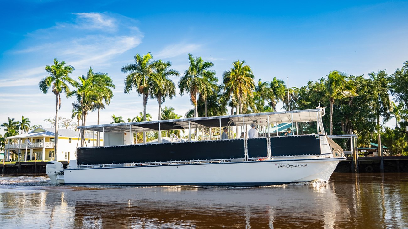 A large pontoon boat with canvas cover floats in the tannin-colored water with palm trees behine. 