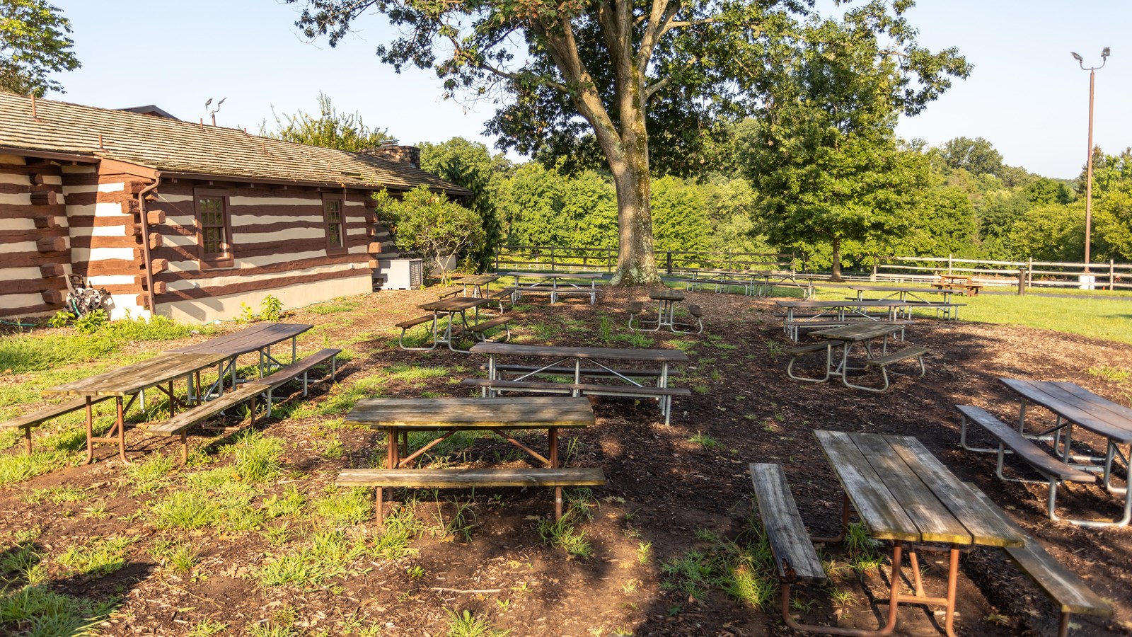 Picnic tables in shade beside a brown and tan building.