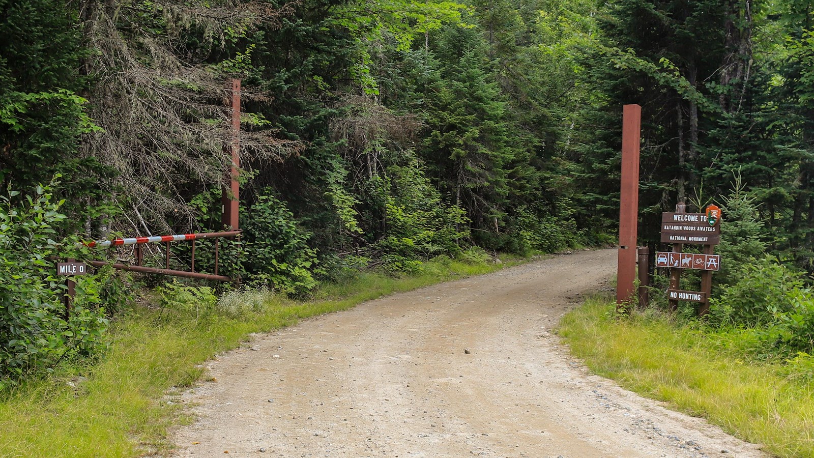 A dirt road leading into the woods: an open metal gate and park welcome sign on either side