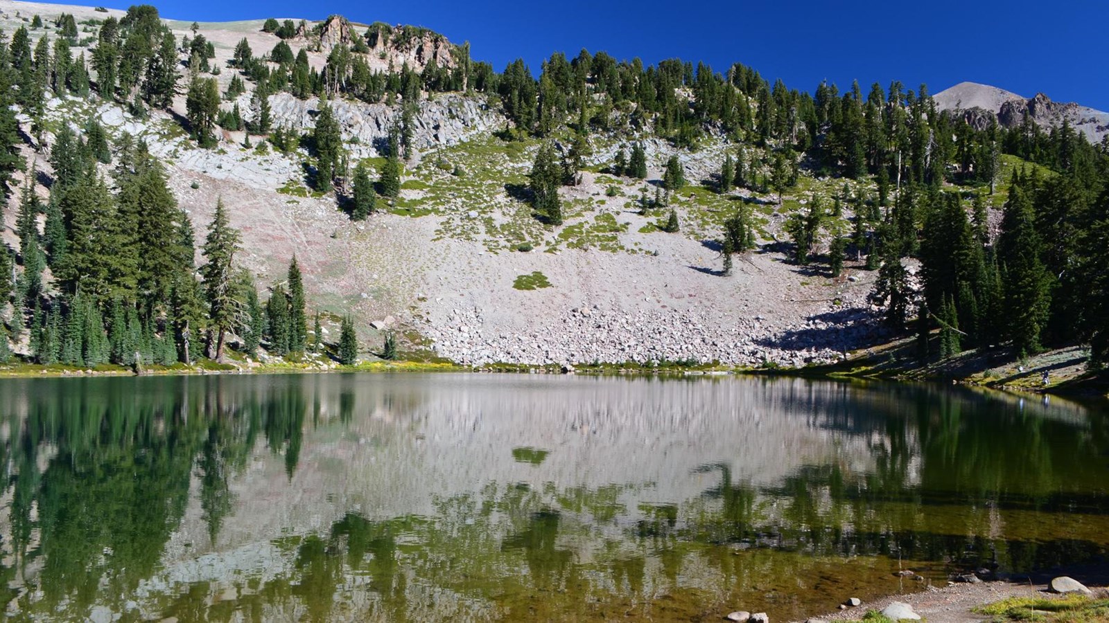 A rocky mountain slope dotted by conifers reflected in a small, green lake.