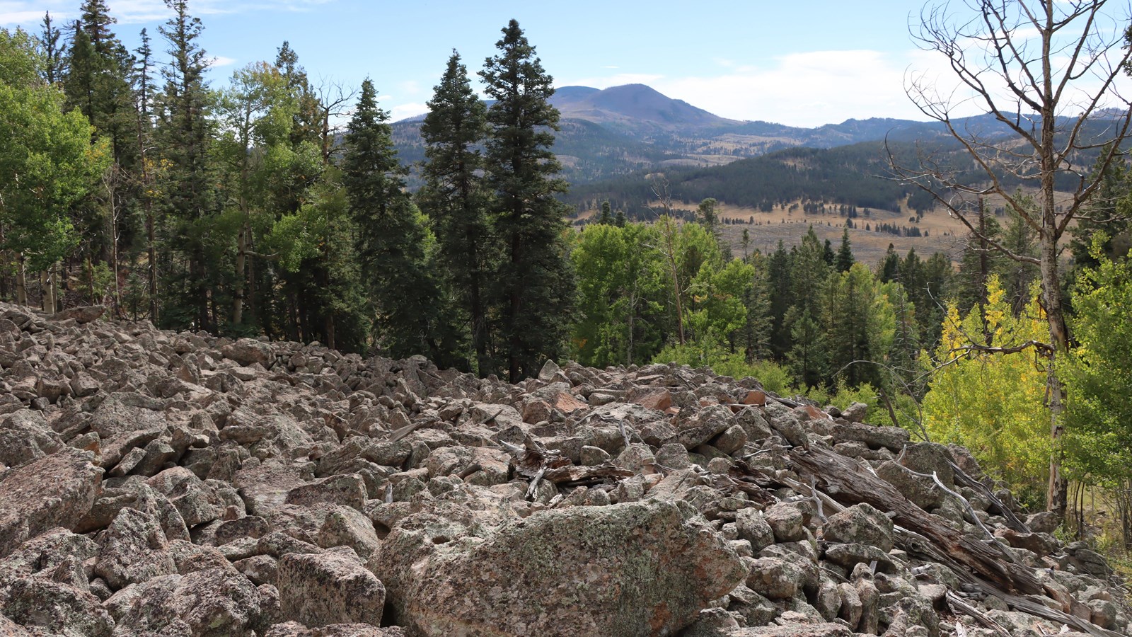 A talus slope overlooking montane grasslands and distant mountains.