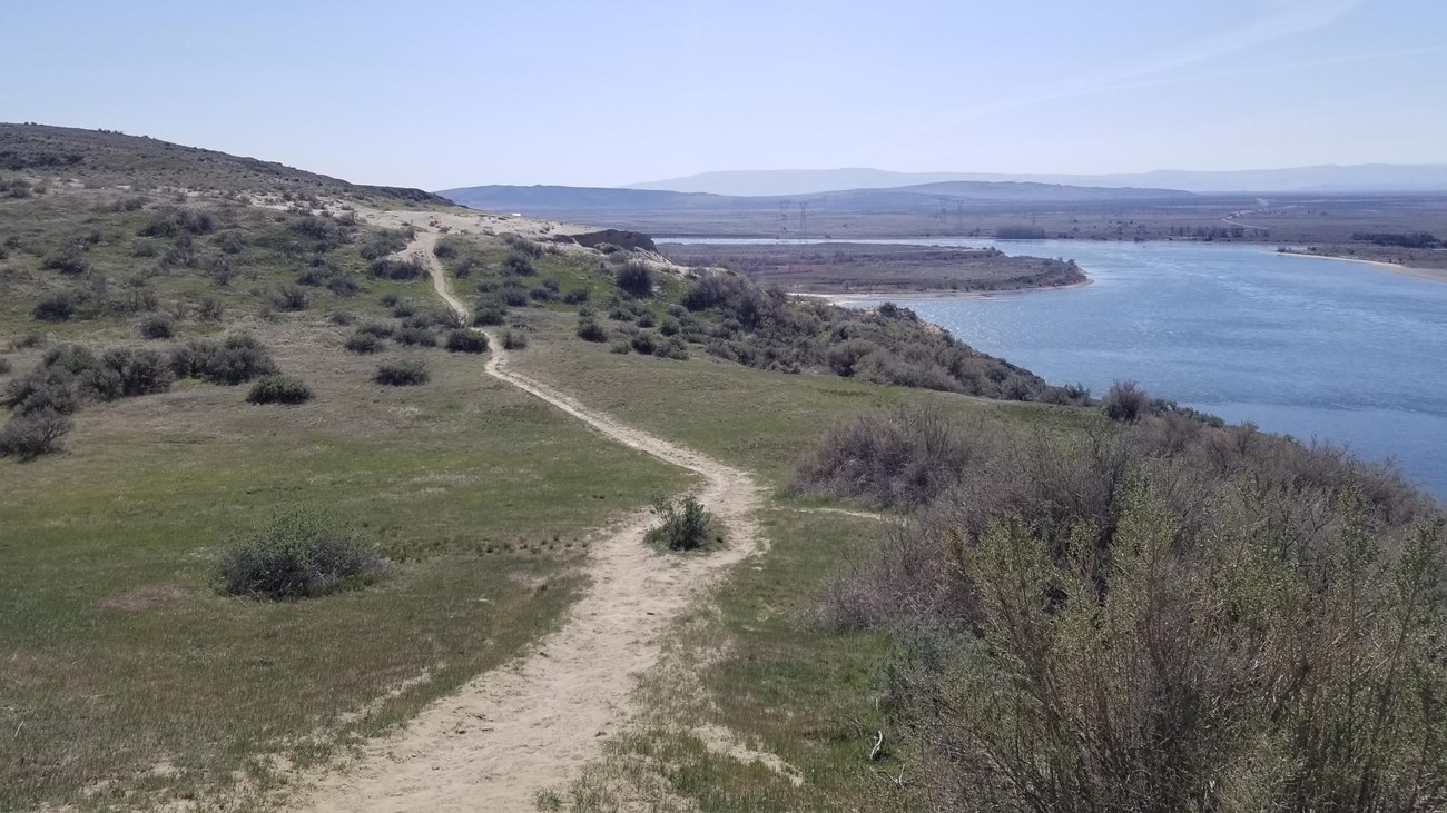 Color photograph of an arid landscape with a trail in the center and a large river on the right. 