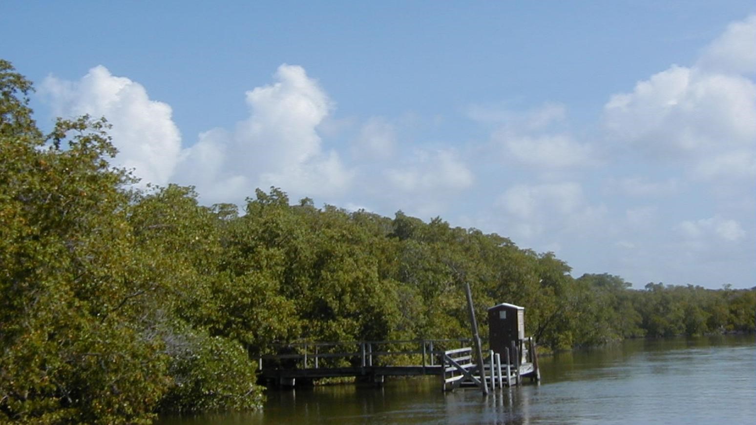 A wooden dock extends from a vegetated island into calm water. A brown portable toilet sits on dock.