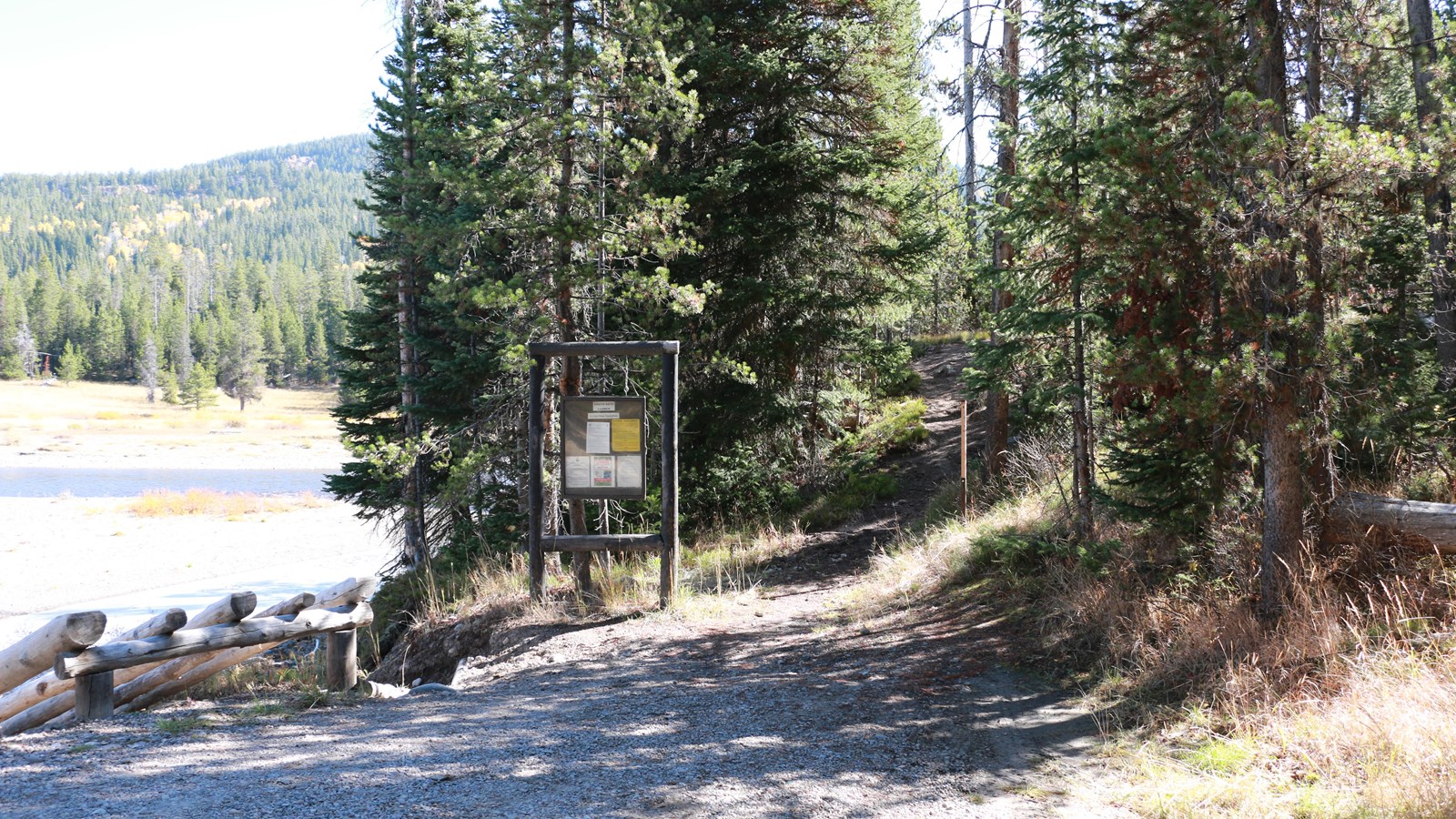 A trailhead sign in a forest