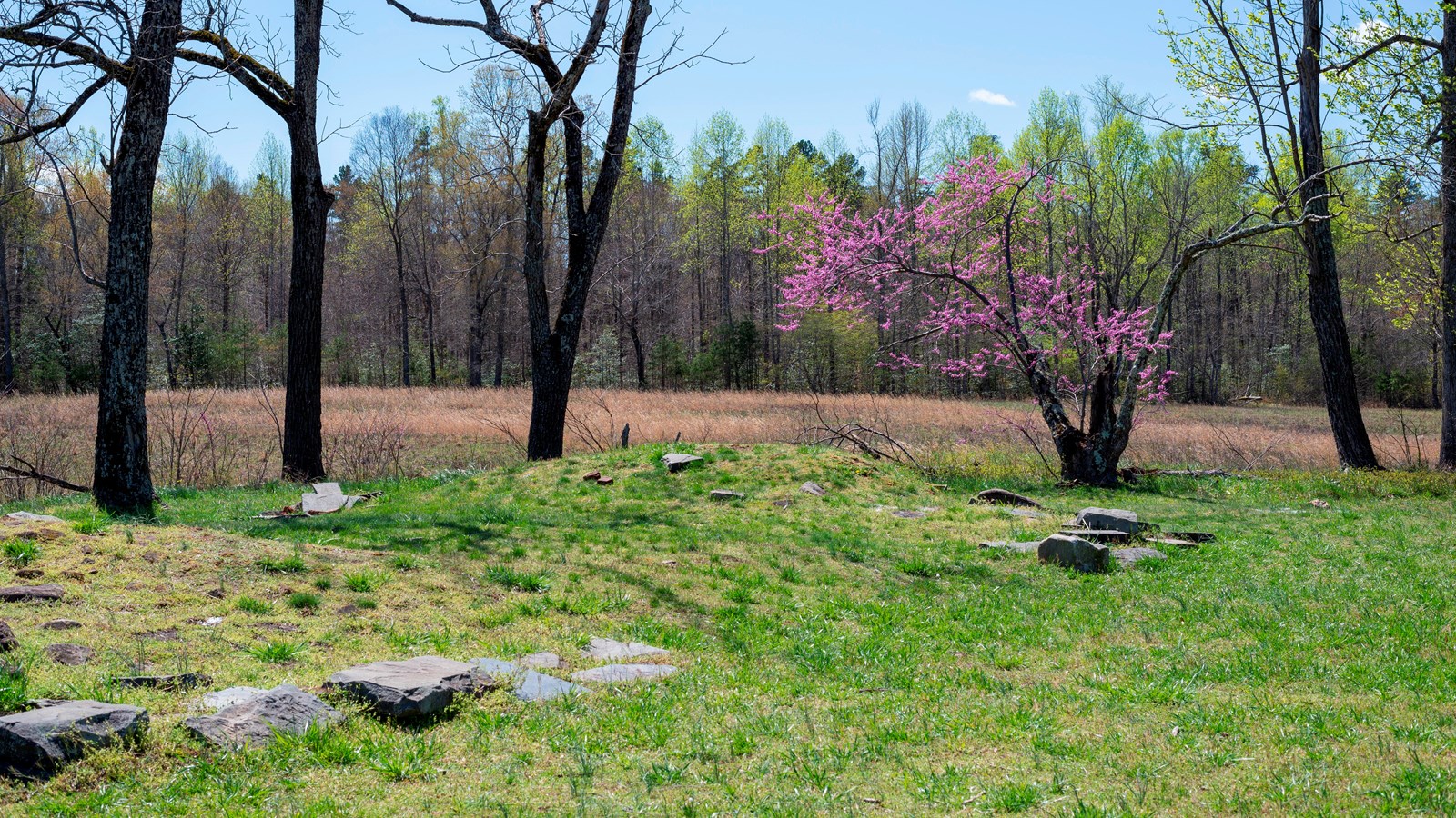 Stone foundations of a house surrounded by an open field.