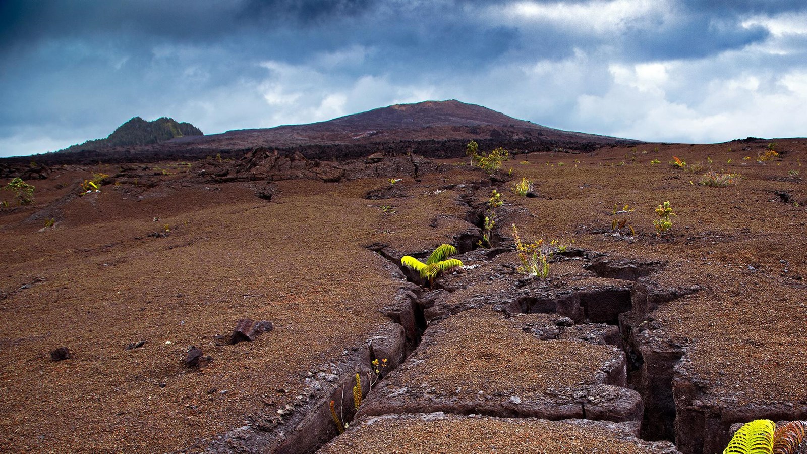 Large fissures extending towards the top of a volcano (Maunaulu)