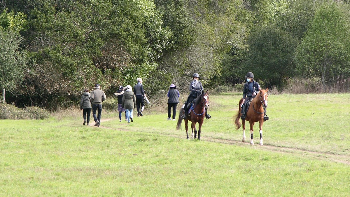 Two horse riders and six hikers head in opposite directions through a grassy, green meadow.