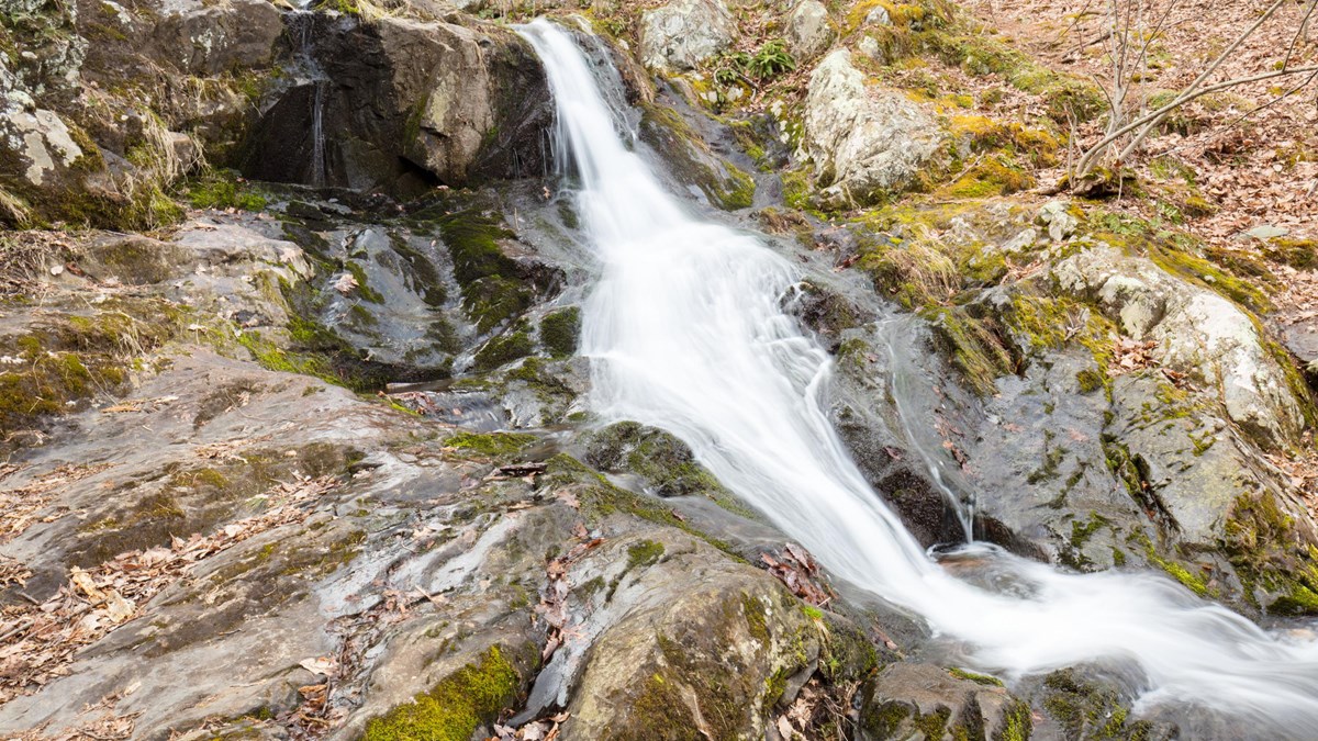 A small waterfall cascades down rocks amidst brown leaves.