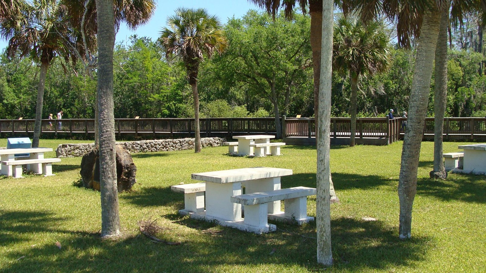 Picnic tables surrounded by palm trees and grass. In the background there is a boardwalk