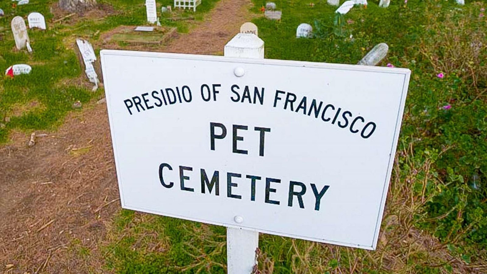 The white Army sign for the Presidio Pet Cemetery.