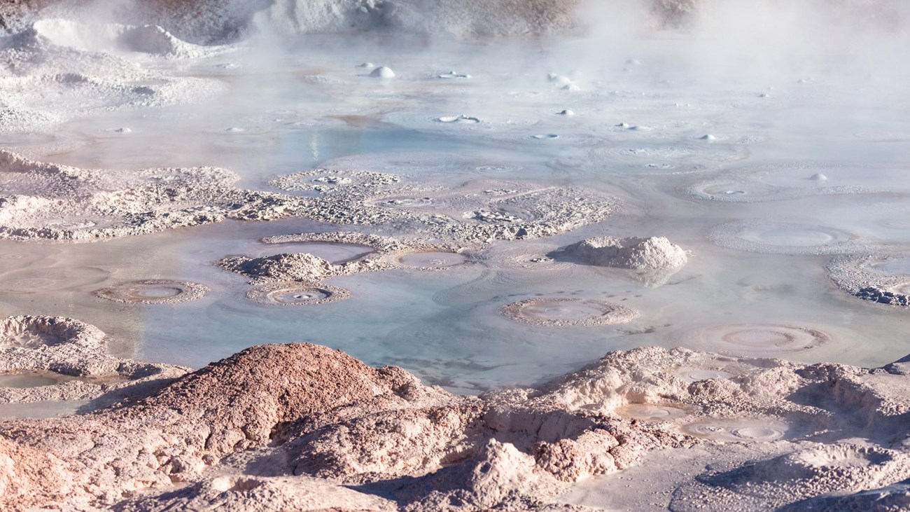 Steam rises from bubbling mudpots in a thermal basin.