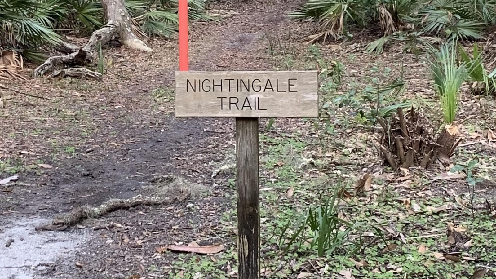 A wooden trailhead sign with the trail to the left and a red carsonite post in the middle.