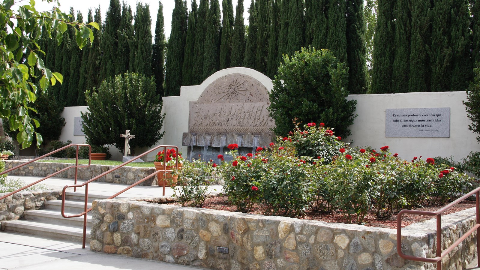 A stand of roses and paved areas in the foreground. The background has a white wall and trees.