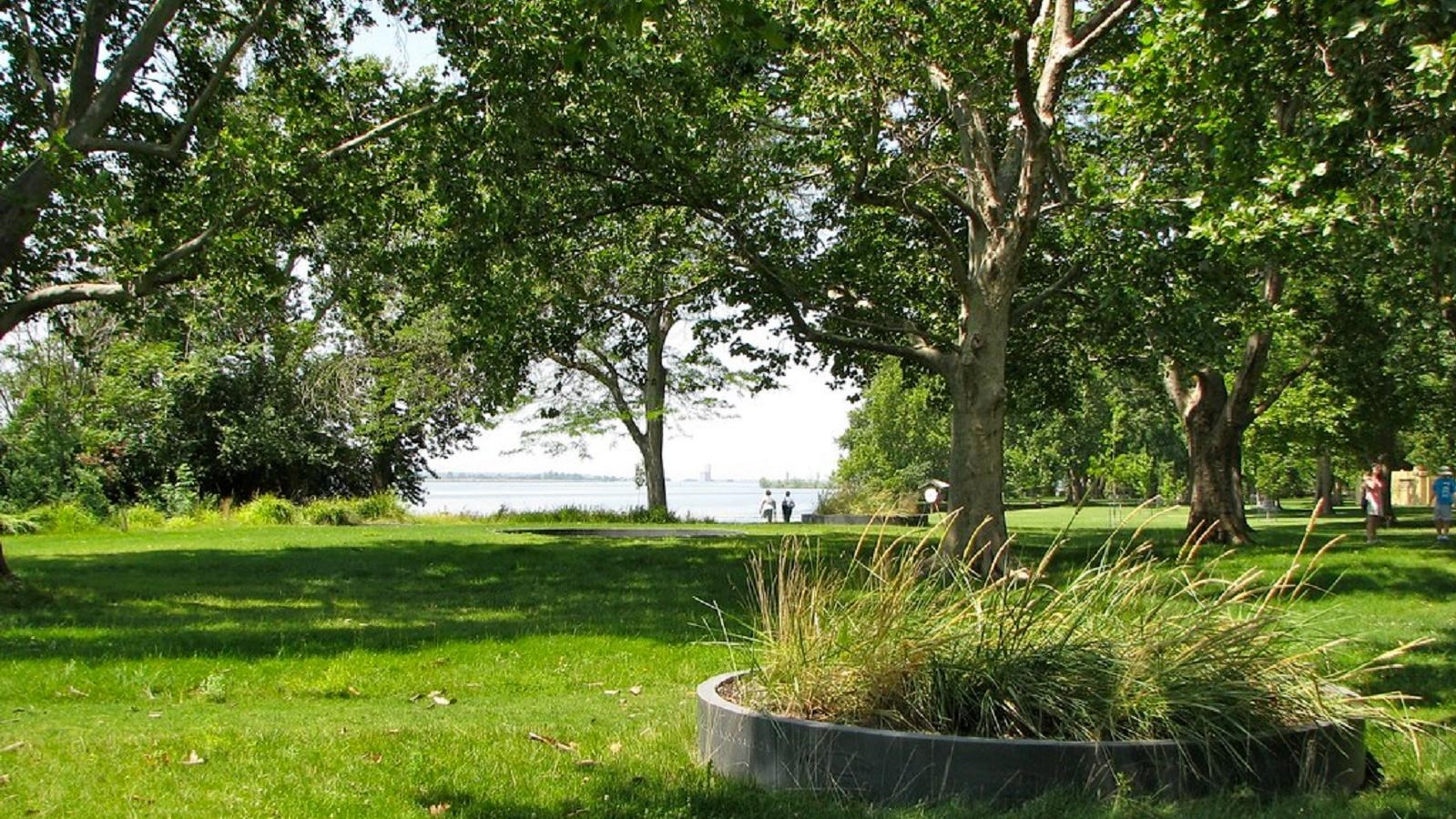 A stone story circle filled with native plants sits in a grassy expanse dotted with trees