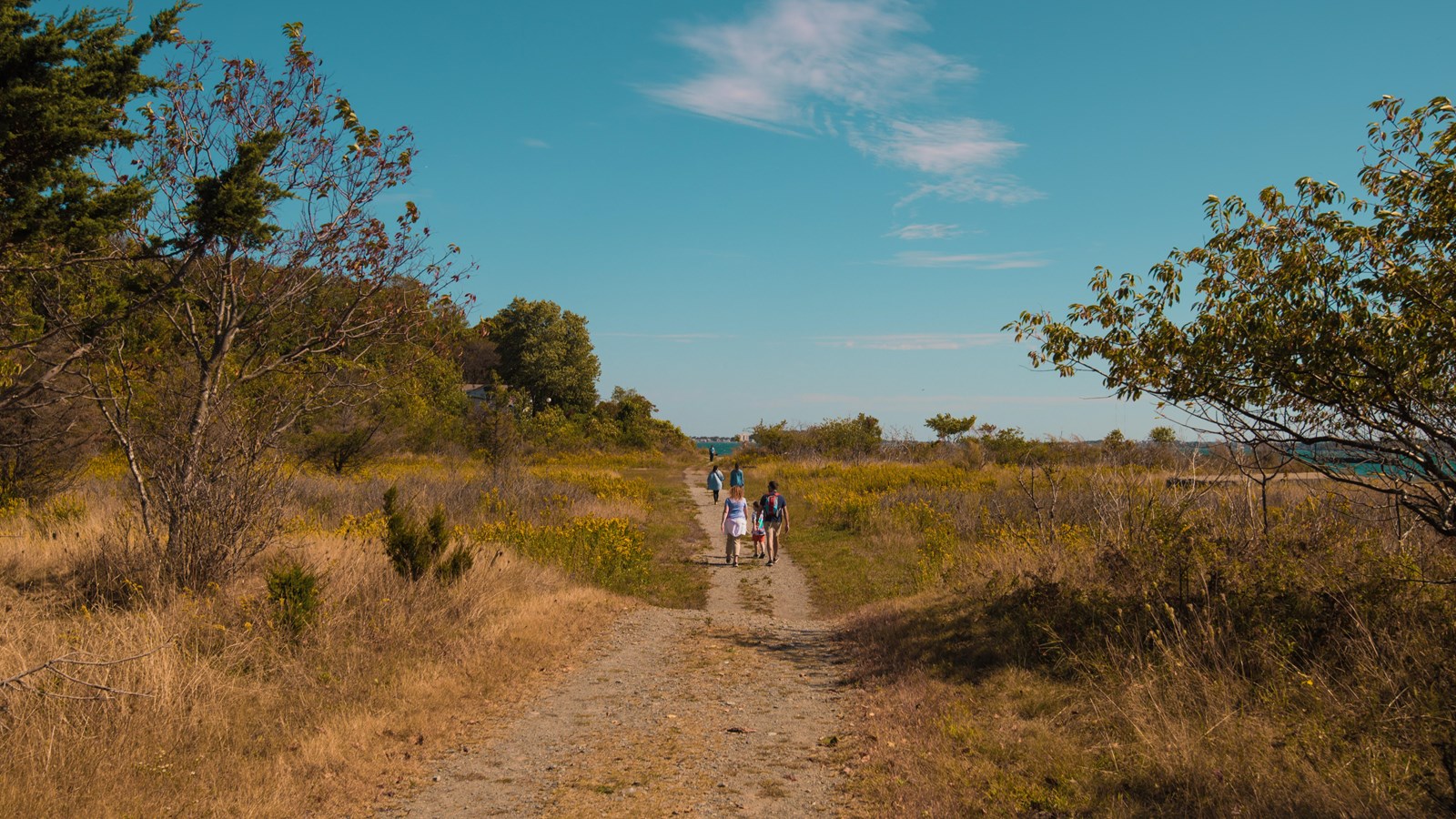 a hiking trail leadings into a meadow, with the water to the right and a wooded area to the left.