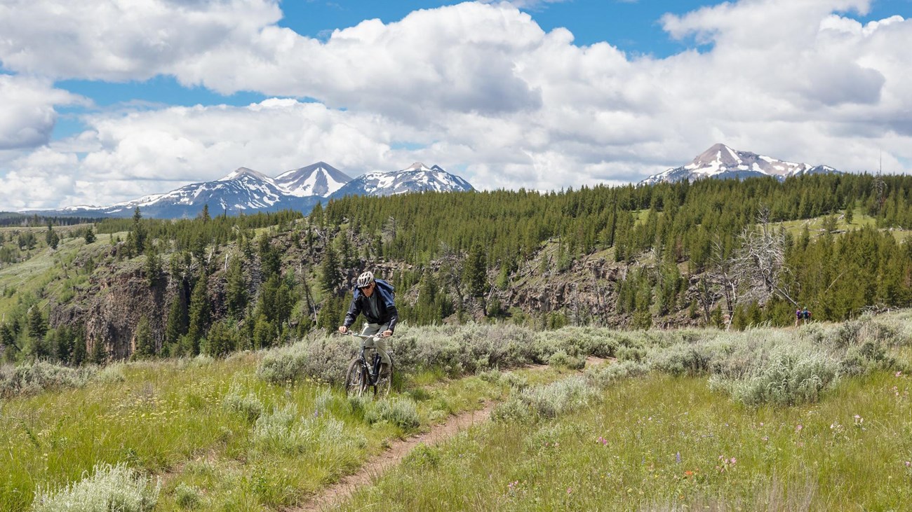 A person bikes on a trail through a field of sagebrush with mountains in the distance.