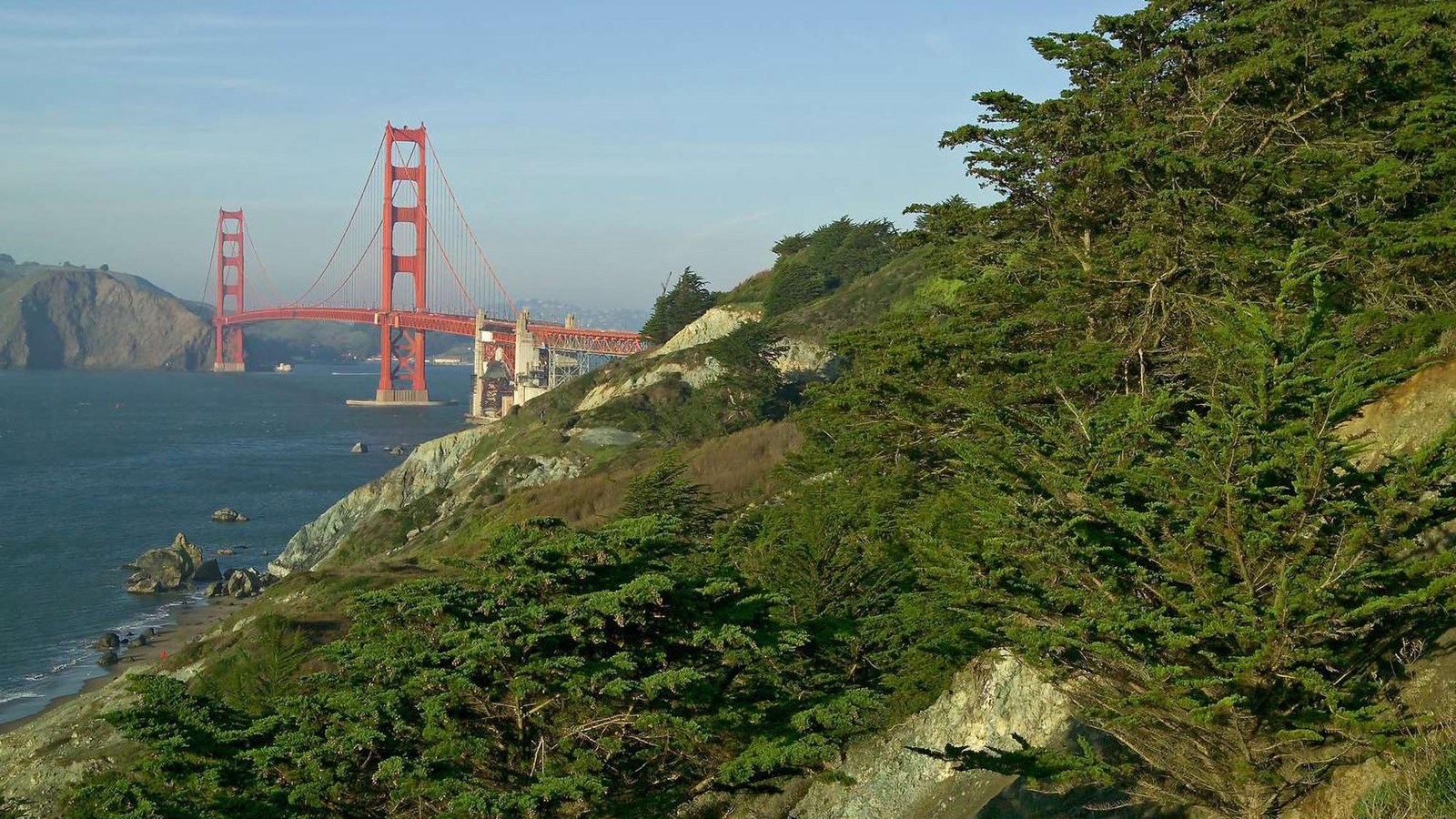 View of the green hillside bluffs before the cypress and pine trees were removed.
