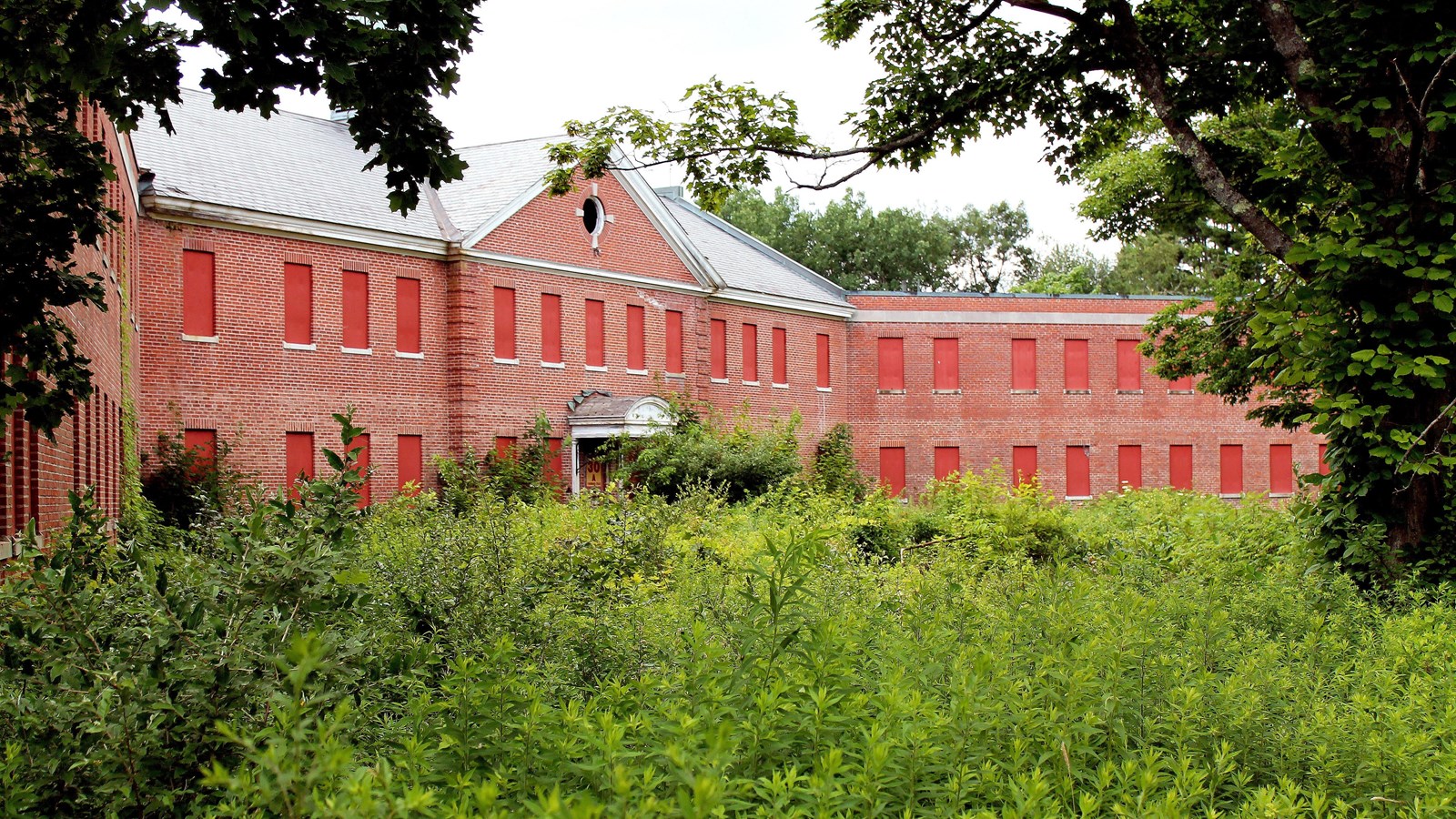 A red brick building with thick weeds growing in front of it.