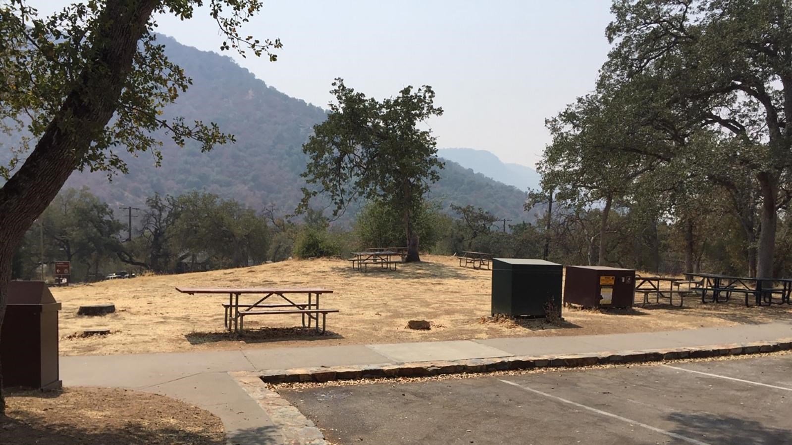 Picnic tables, garbage bins, and a food storage box are scattered across a meadow of brown grass,
