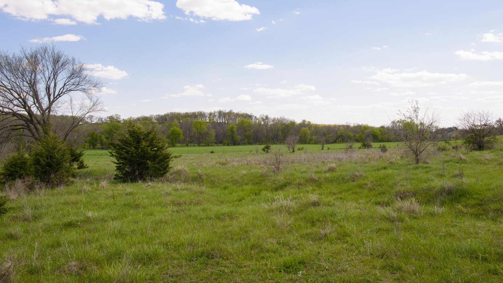A grassy field leads to a depressed area with distant trees.