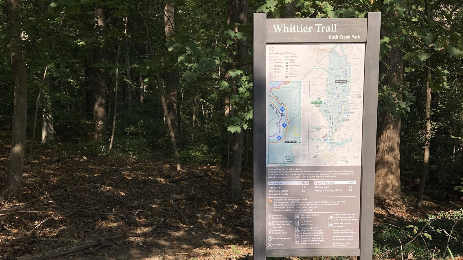 a trailhead sign at the edge of the forest