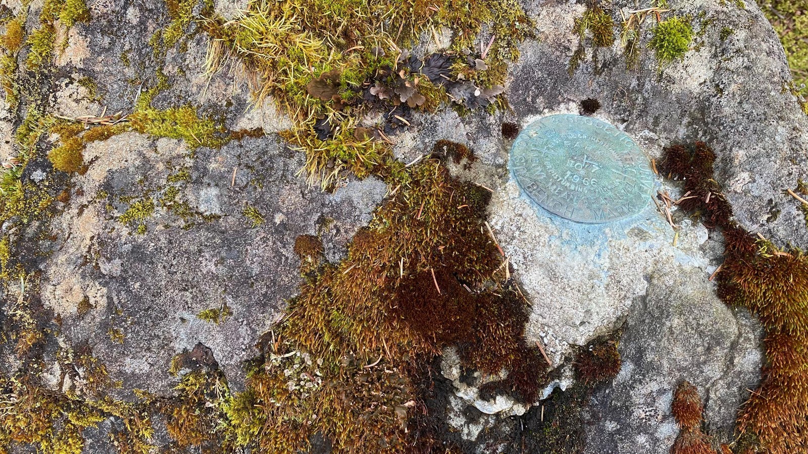 A metal USGS marker embedded in a stone covered in moss and lichen.