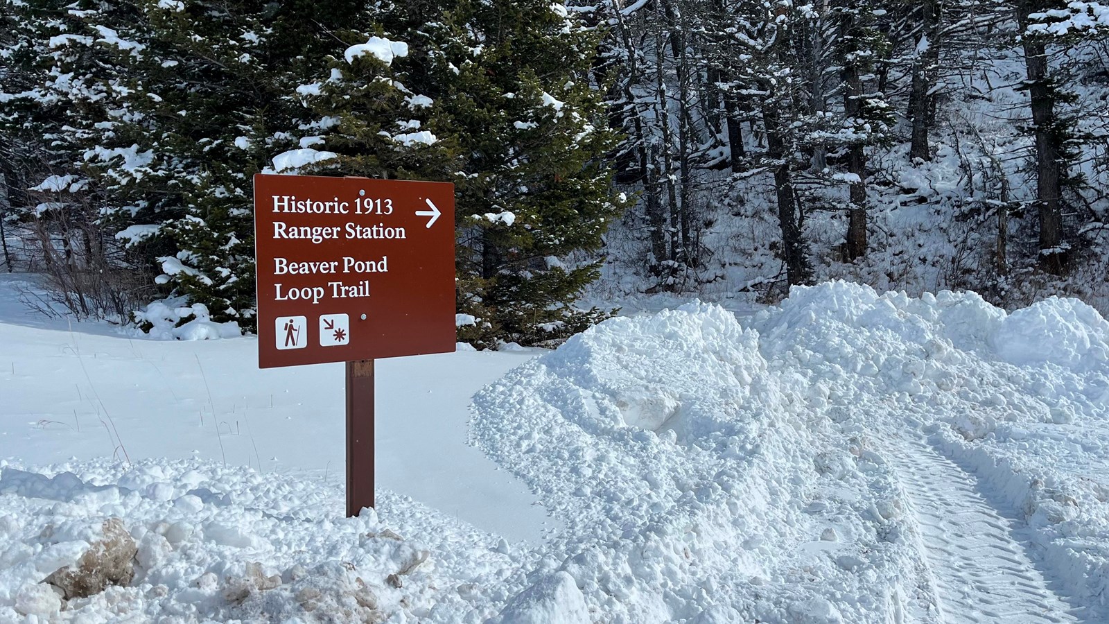 A brown sign that reads Historic 1913 Ranger Station and Beaver Pond Loop Trail with an arrow.