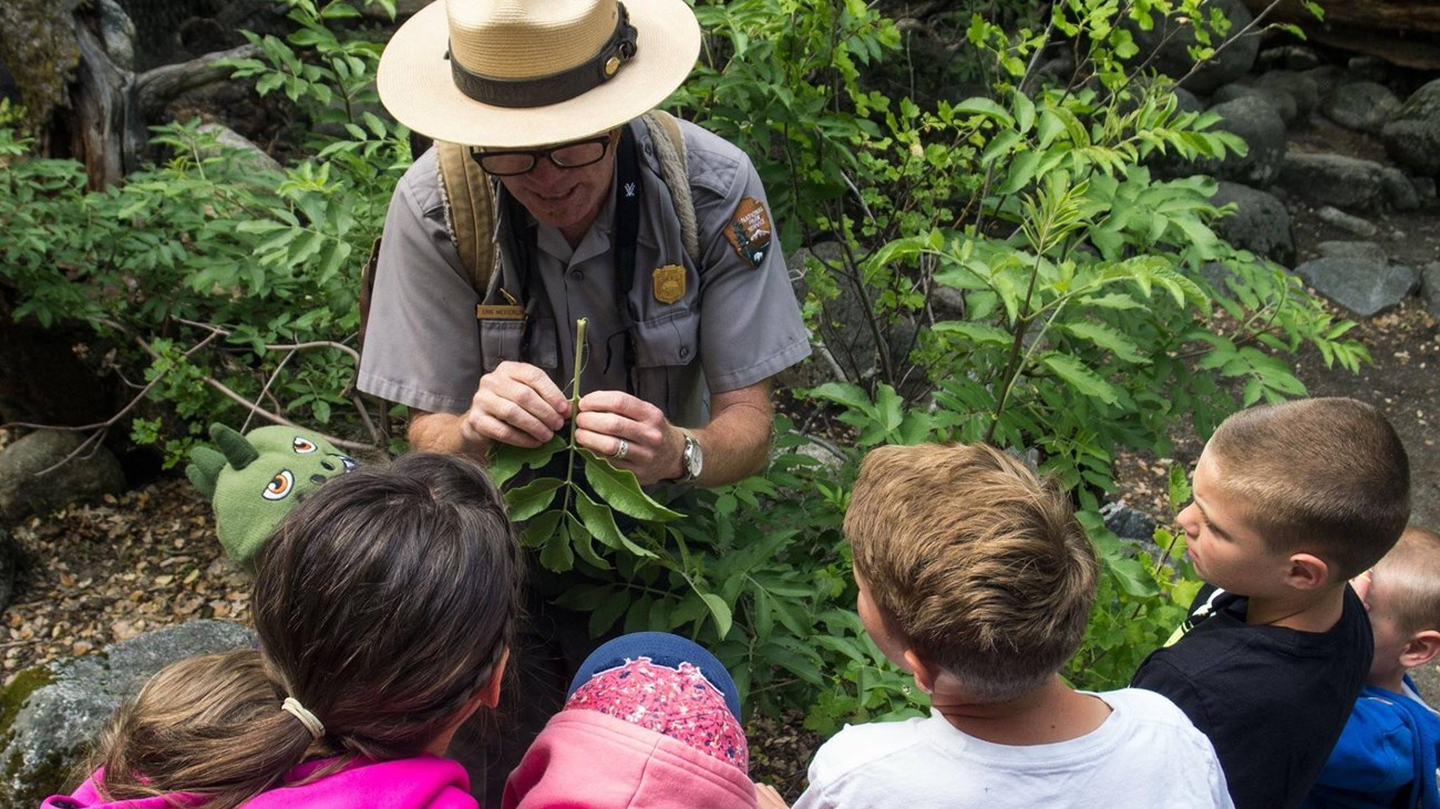 Park Ranger looking at something in nature with kids
