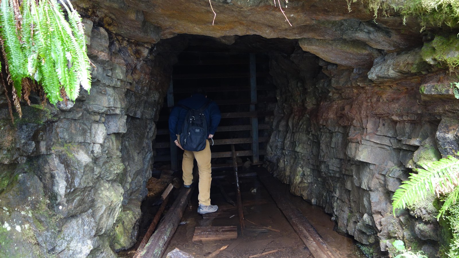 A hiker looks into the entrance of a gated mine.