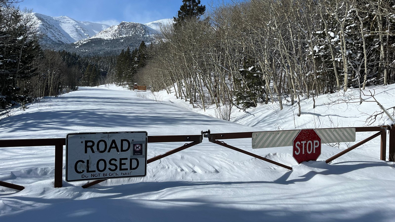 A closed gate in front of a snowy road with a Road Closed sign and a red stop sign.