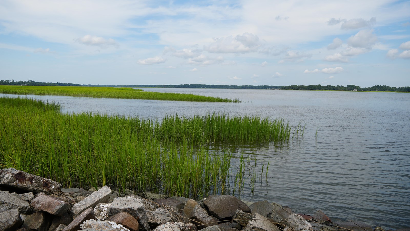 Rocks and marsh grass leading to the Beaufort River.