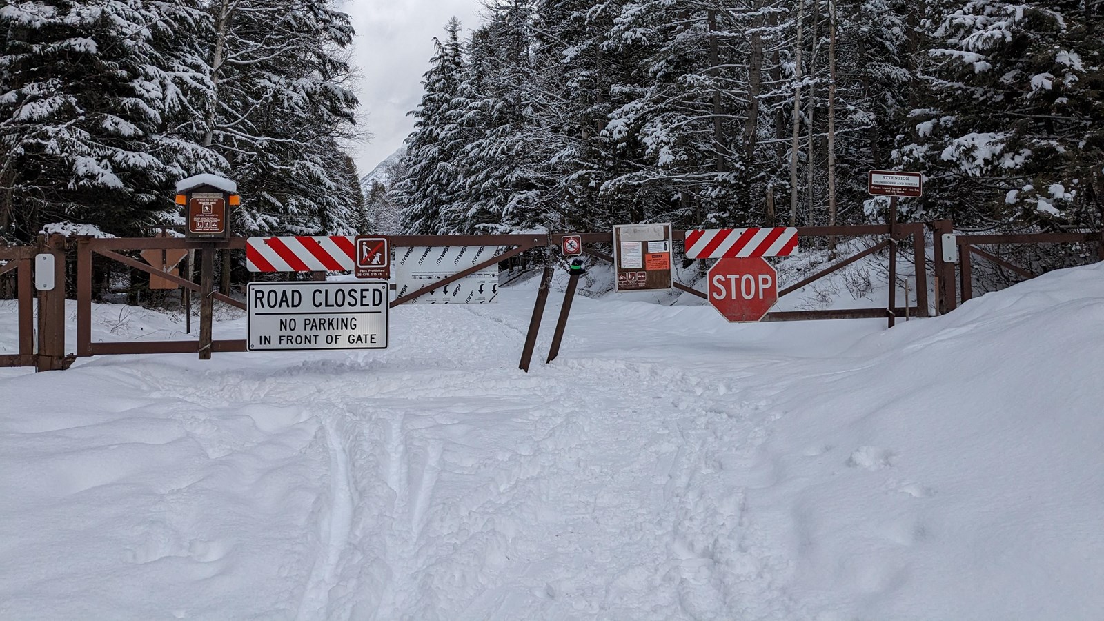 A snowy road with a closed metal gate blocking it. There are many signs on the gate. 