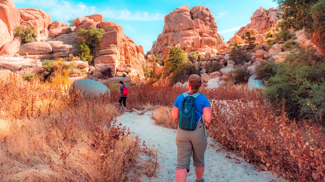 wo hikers walk along a sandy trail surrounded by golden vegetation and tall granite rock formations