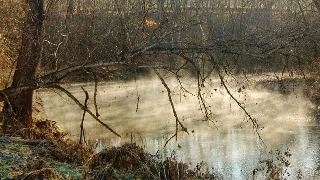 Wilson\'s Creek in the early morning with the sunshining on the water and the mist rising in the air.