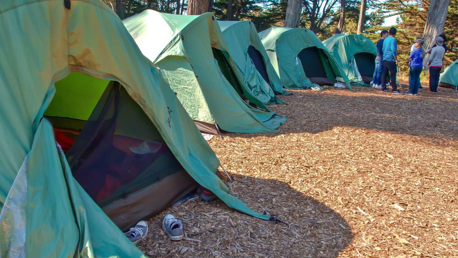 A row of green tents at Rob Hill Campground