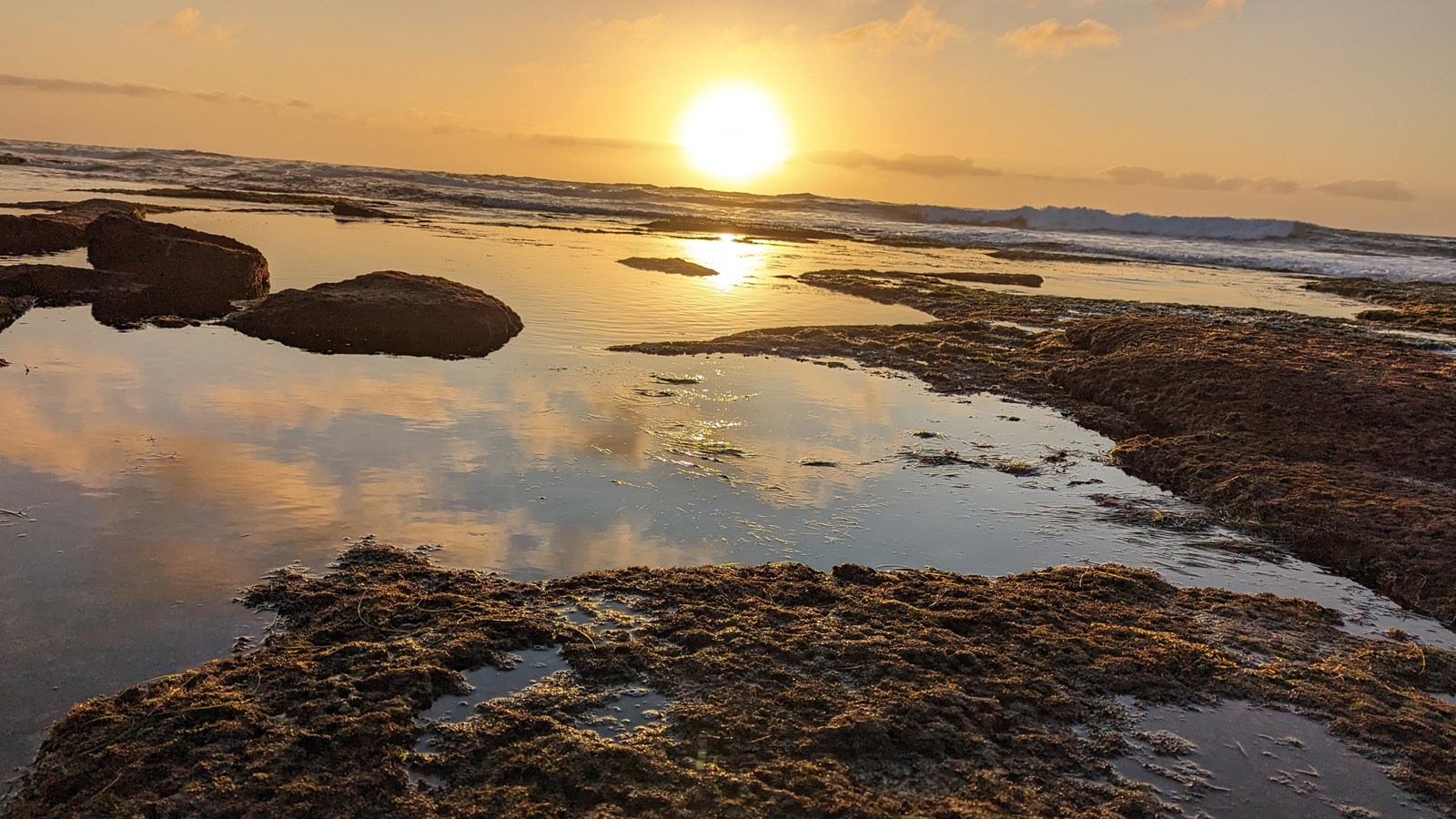 Sun setting on a tidepool