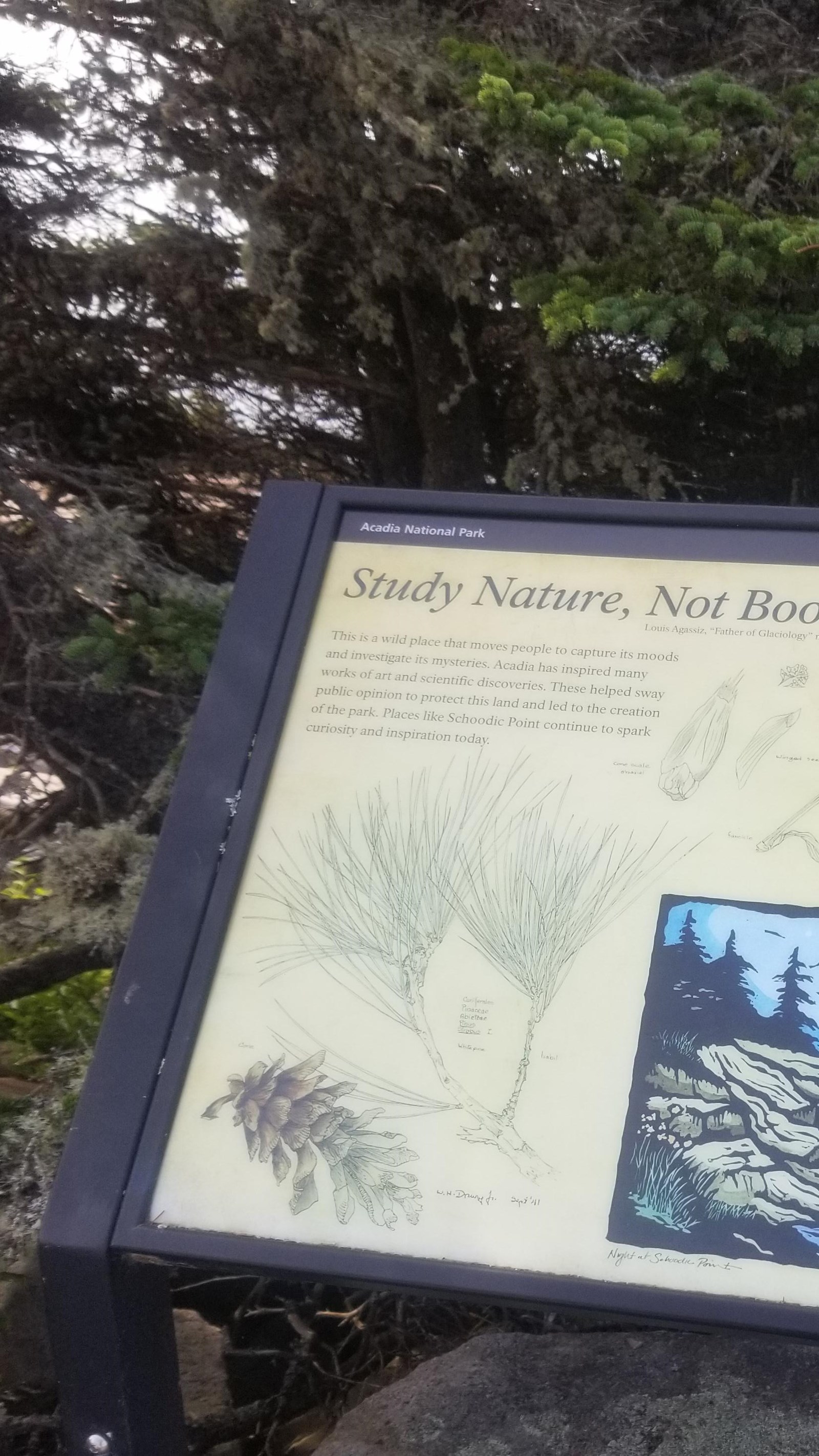 Access Wayside: Study Nature, not Books