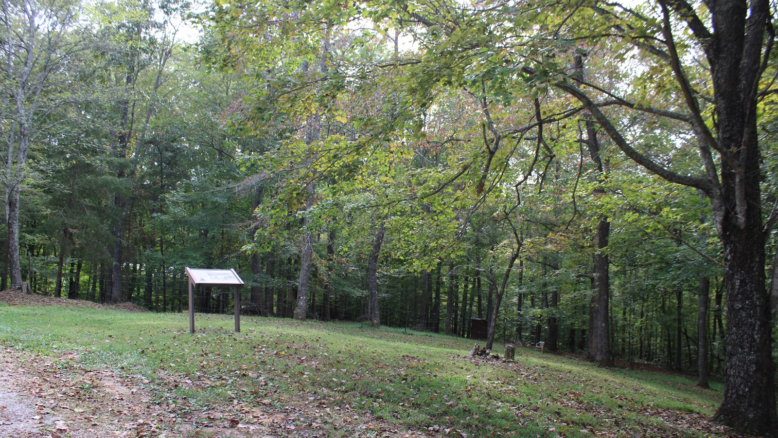 A sign in a small clearing surrounded by trees.