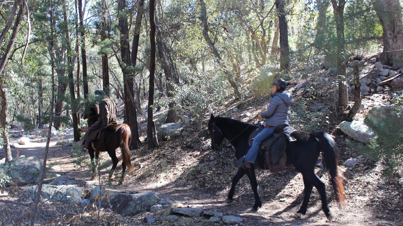 Two people riding horses on a trail