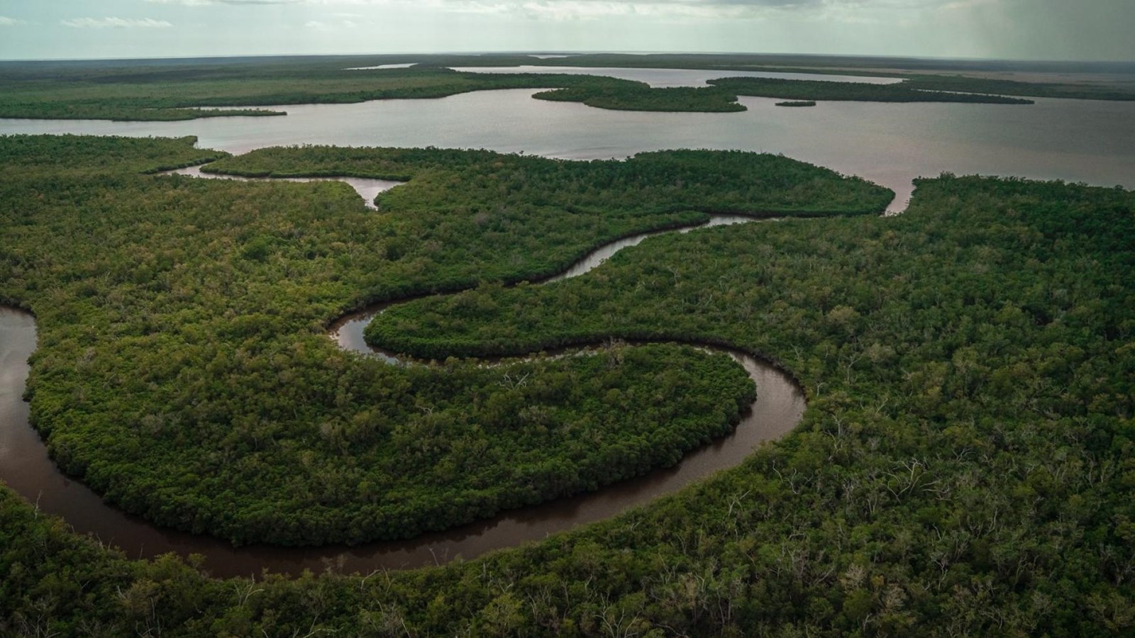 An aerial view of murky winding river opening up into a lake. Dense green vegetation covers the land