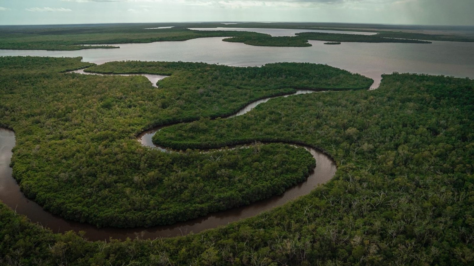 An aerial view of murky winding river opening up into a lake. Dense green vegetation covers the land