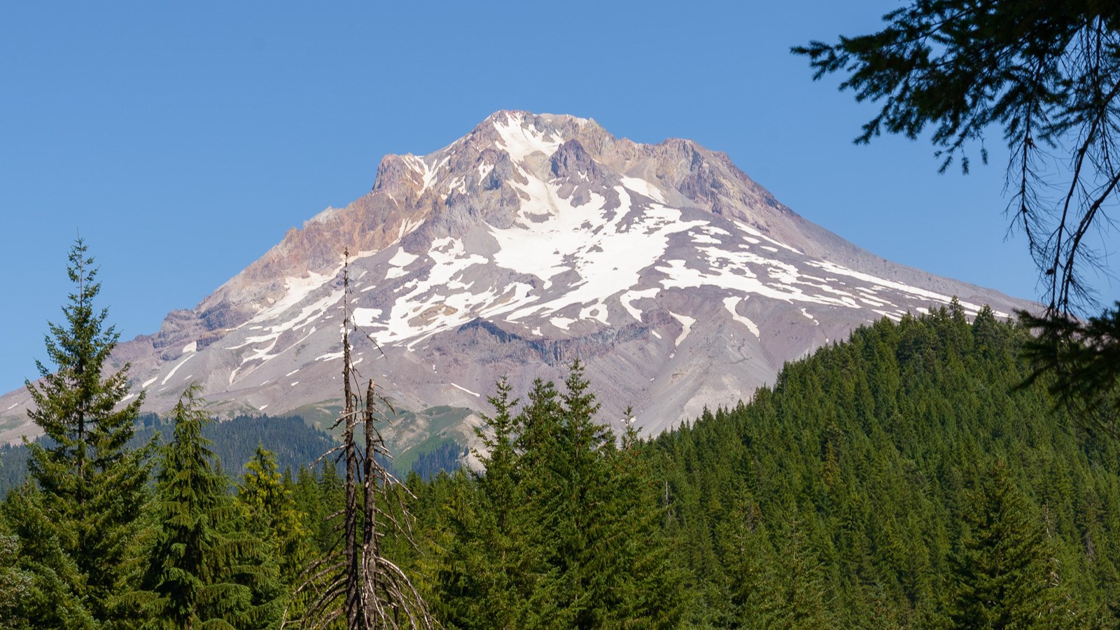 A prominent mountain peak rises above a dark, thick conifer forest.